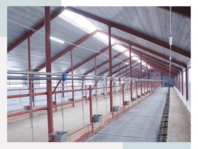 Строительство коровников в Устях-Лабинске от 613 руб.