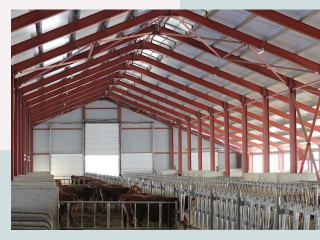 Строительство коровников в Устях-Лабинске