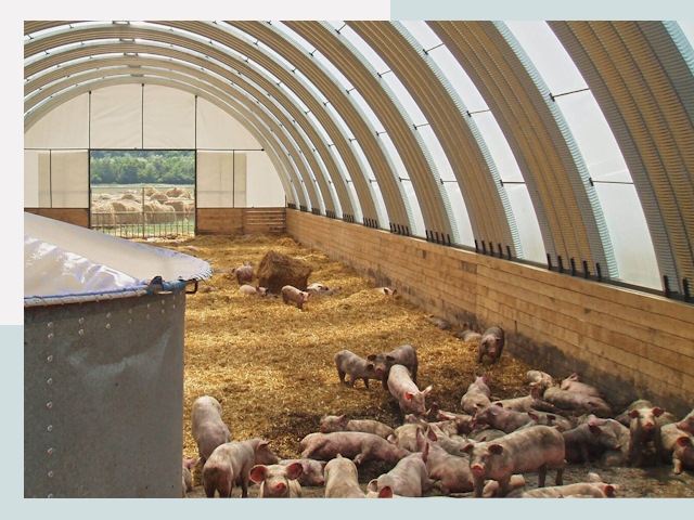 Строительство свинарников в Устях-Лабинске