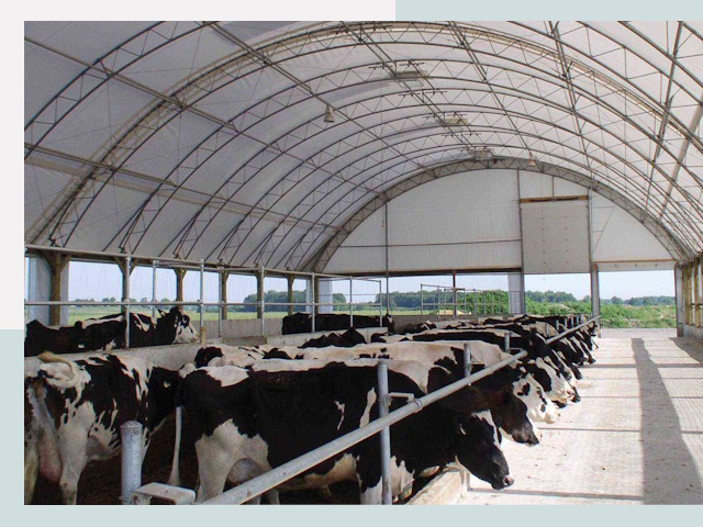 Тентовые коровники в Устях-Лабинске